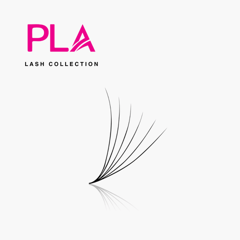 PLA | 6D Promade | 0.07mm | 500 Premade Lash Fans