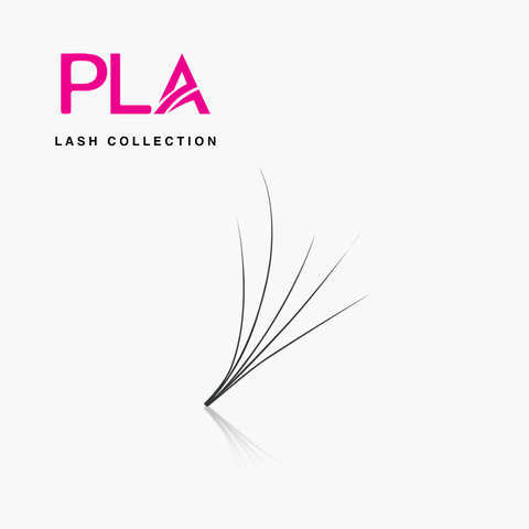 PLA | 5D Camellia | 0.07mm | 500 Premade Lash Fans
