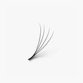 4D | 0.07mm | 500 Premade Lash Fans
