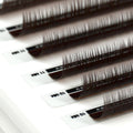 back view of a strip of chocolate satin silk 0.07mm lashes