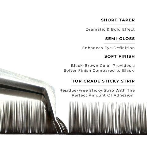 strip of espresso satin silk 0.12mm lashes with features