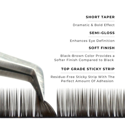 strip of espresso satin silk 0.15mm lashes with features