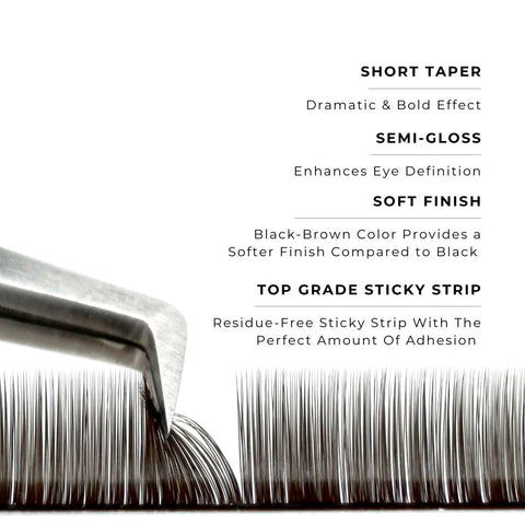 strip of espresso satin silk 0.07mm lashes with features