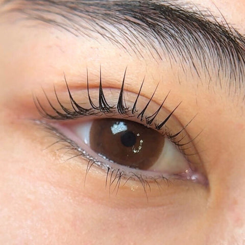 Korean Lash Lift Training