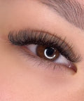 volume set using mynk 0.05mm lashes