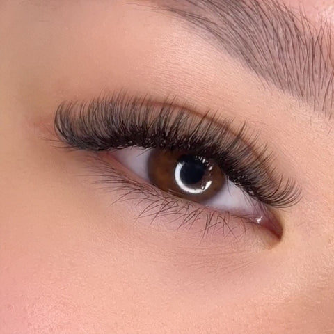 volume set using mynk 0.05mm lashes