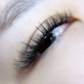 volume set using mynk 0.05mm lashes