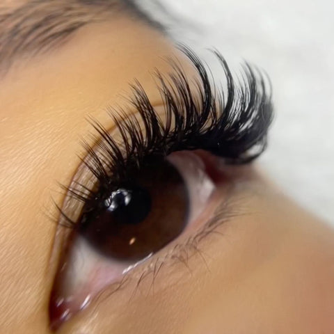 volume set using mynk 0.05mm lashes