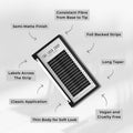 informational graphic on mynk classic lashes