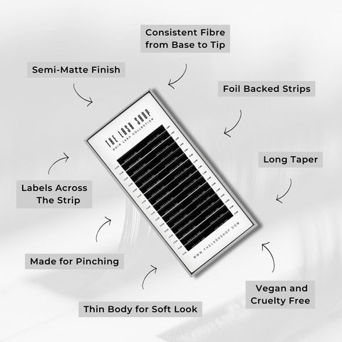 informational graphic on noir lashes